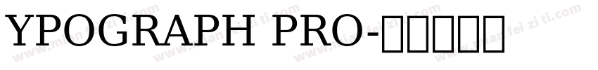 YPOGRAPH PRO字体转换